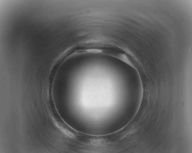 X0000083040446200702091413