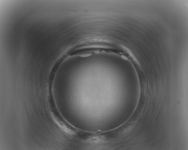 X0000083040447200702091413