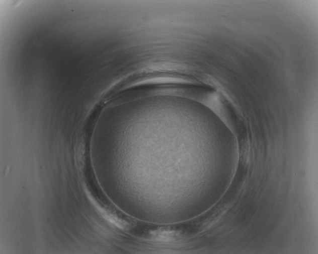 X0000083040448200702091413