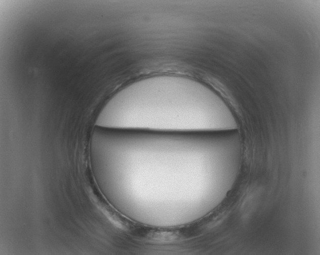 X0000083040449200702091413