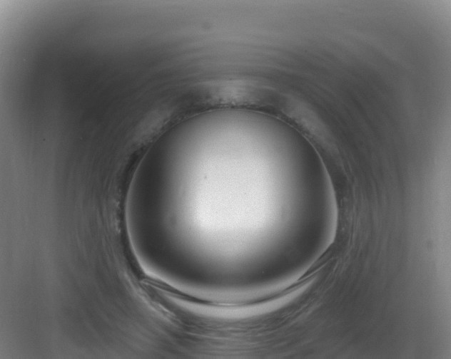 X0000083040450200702091413