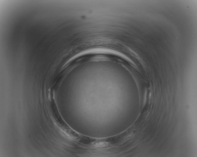 X0000083040452200702091413