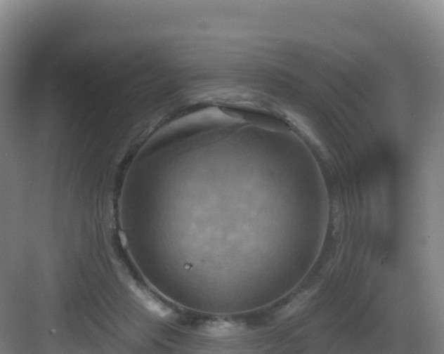 X0000083040453200702091413