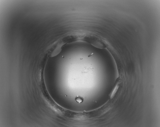 X0000083040454200702091413