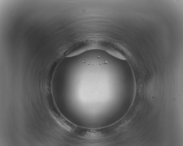 X0000083040455200702091413