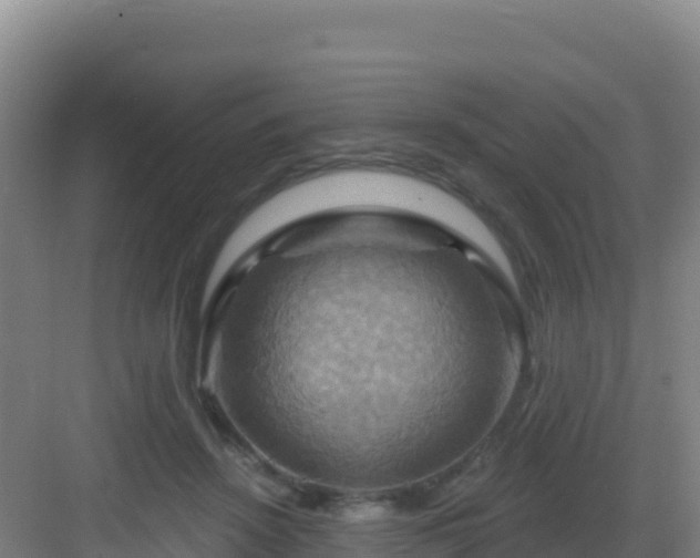 X0000083040456200702091413