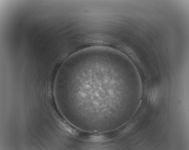 X0000083040457200702091413