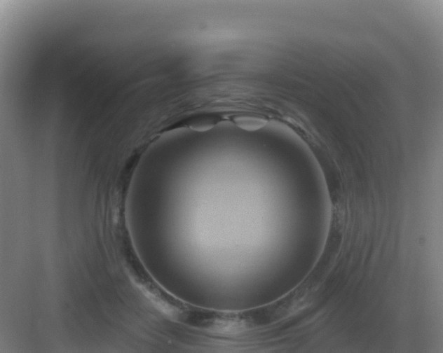 X0000083040458200702091413