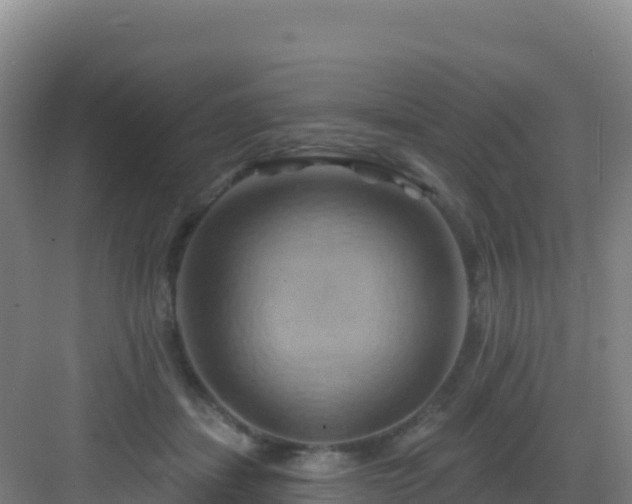 X0000083040459200702091413