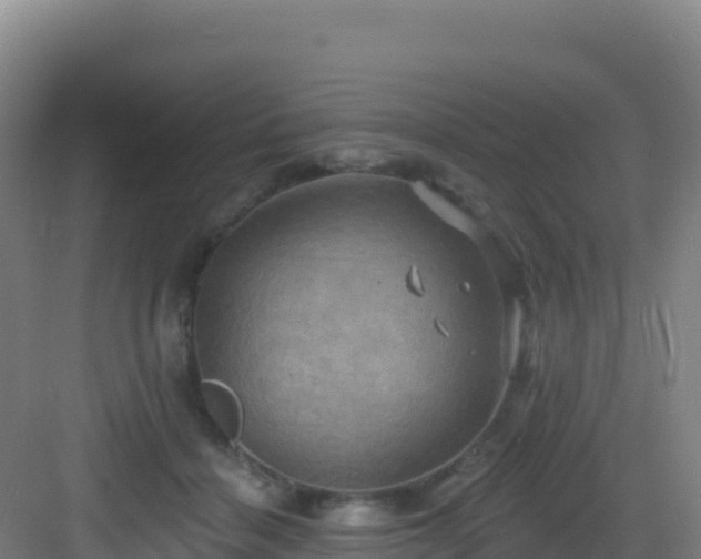 X0000083040460200702091413