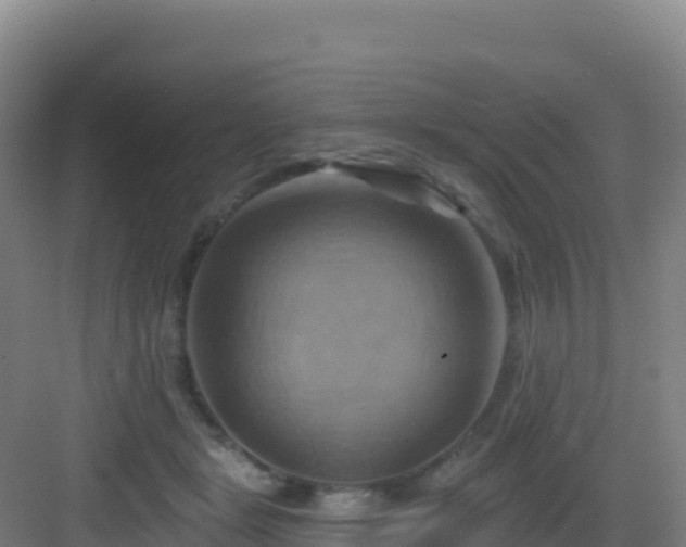 X0000083040461200702091413