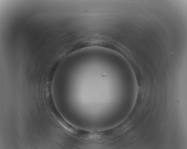 X0000083040462200702091413