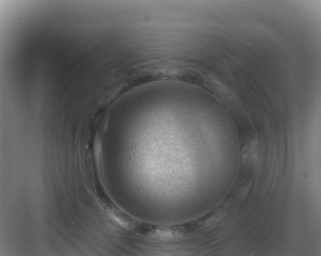 X0000083040464200702091413