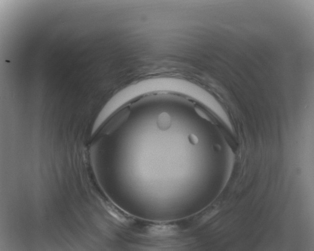 X0000083040465200702091413