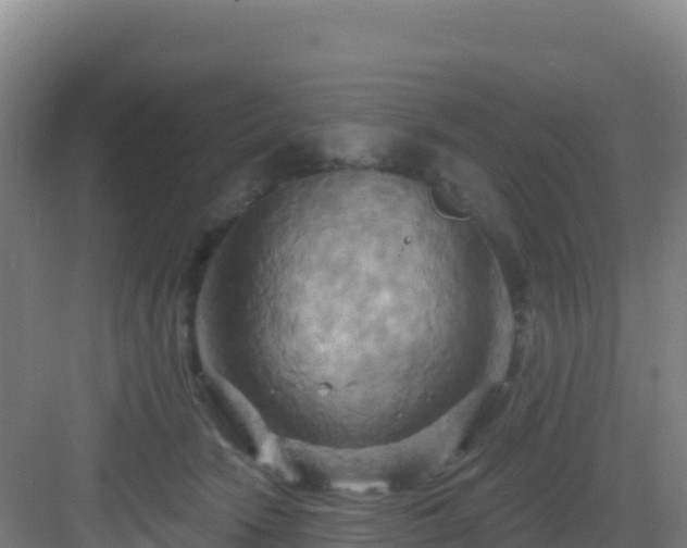 X0000083040466200702091413