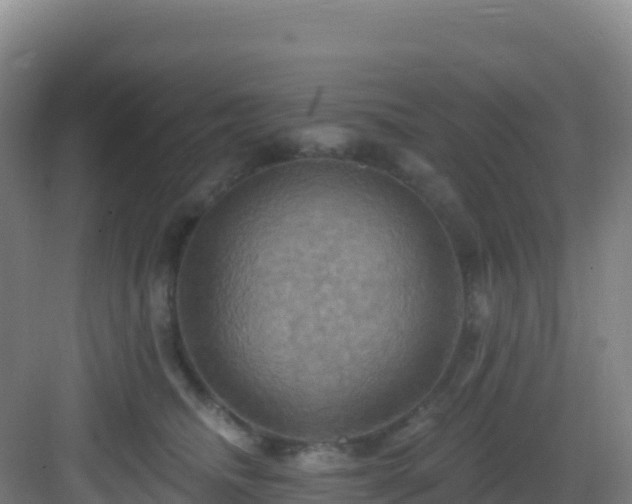 X0000083040468200702091413