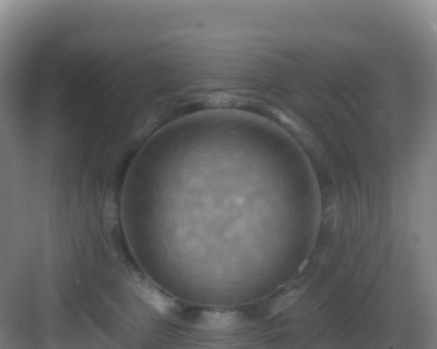 X0000083040469200702091413