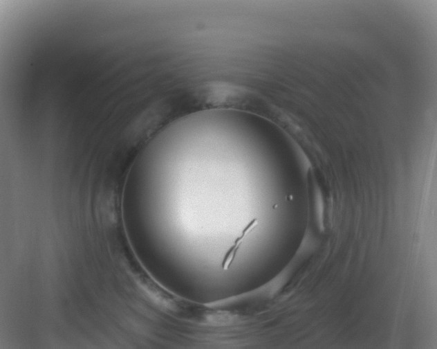 X0000083040470200702091413