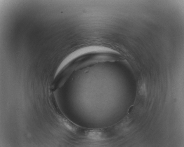 X0000083040471200702091413