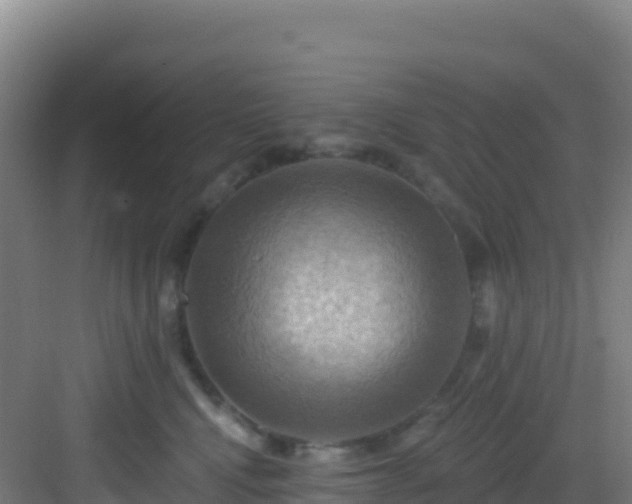 X0000083040472200702091413