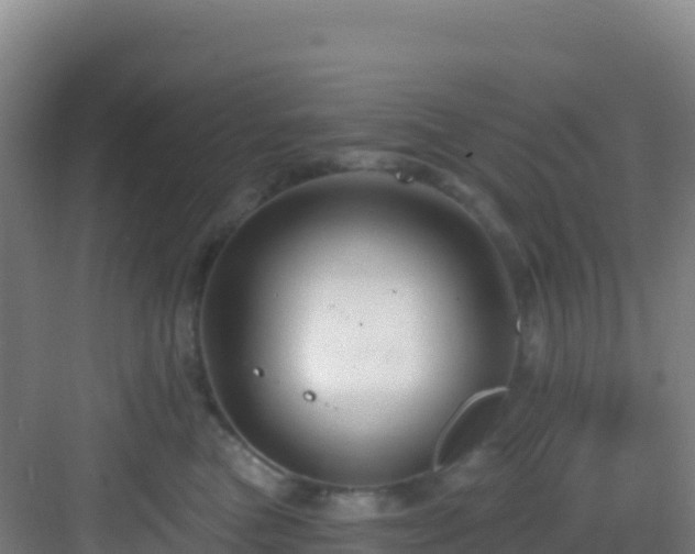 X0000083040473200702091413