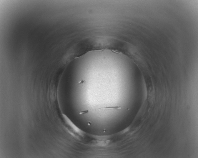 X0000083040474200702091413