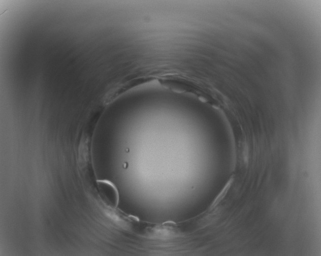 X0000083040475200702091413