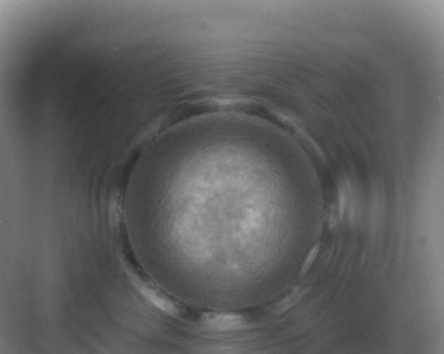 X0000083040476200702091413