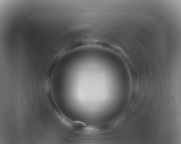 X0000083040477200702091413