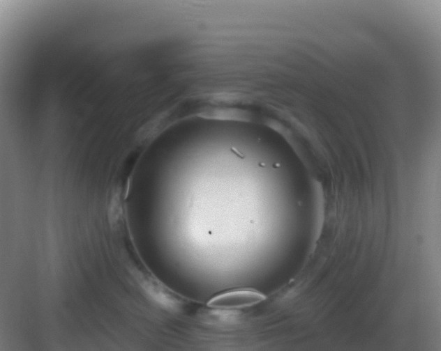 X0000083040478200702091414