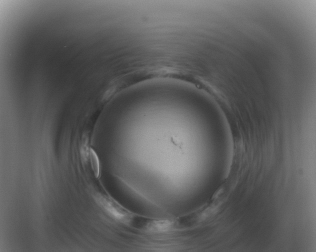 X0000083040479200702091414