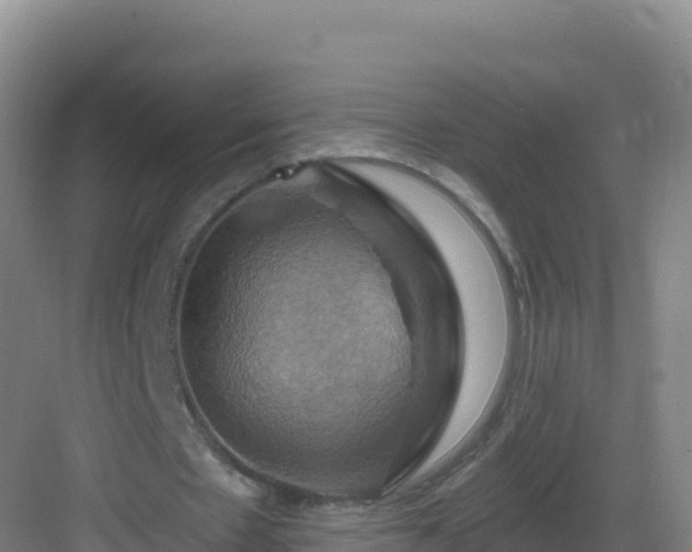 X0000083040481200702091413