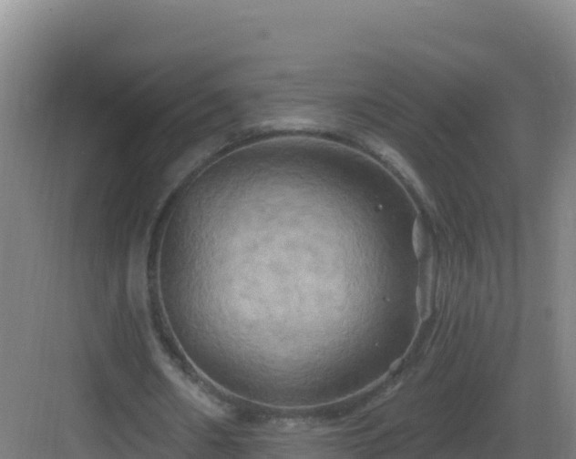 X0000083040482200702091413