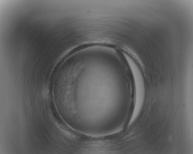 X0000083040483200702091413