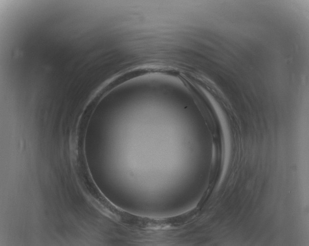 X0000083040484200702091413