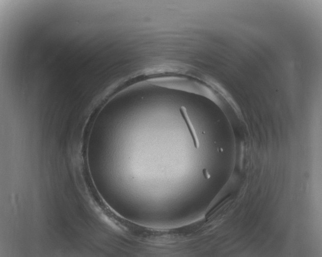 X0000083040485200702091413