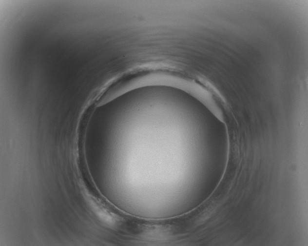 X0000083040486200702091413