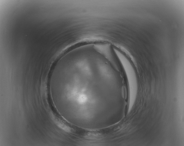 X0000083040487200702091413