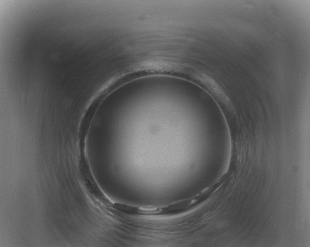 X0000083040488200702091413