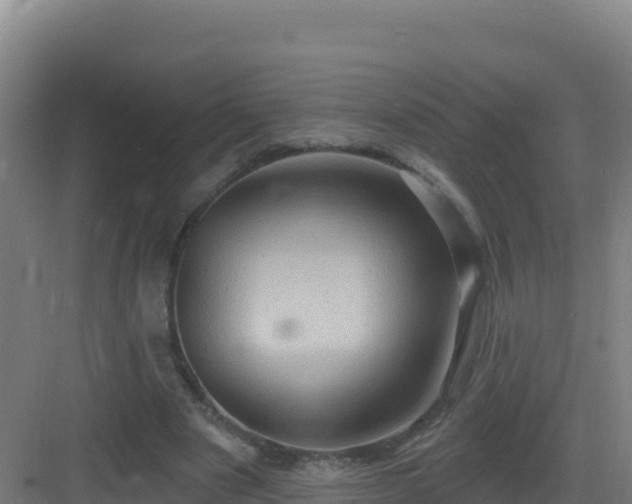 X0000083040489200702091413