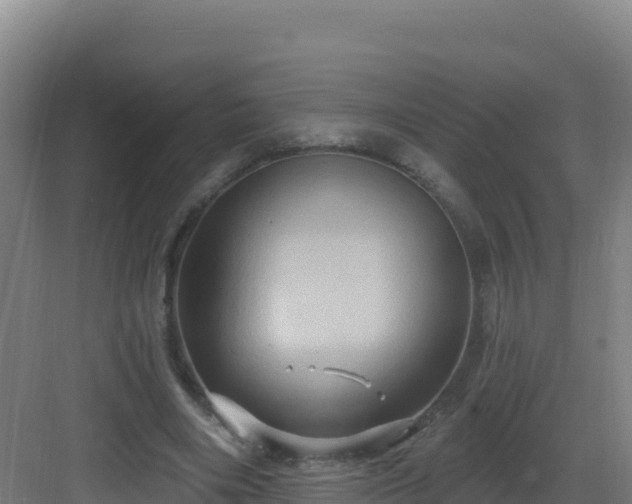 X0000083040490200702091413