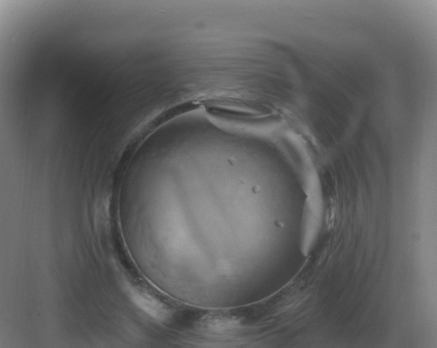 X0000083040491200702091413