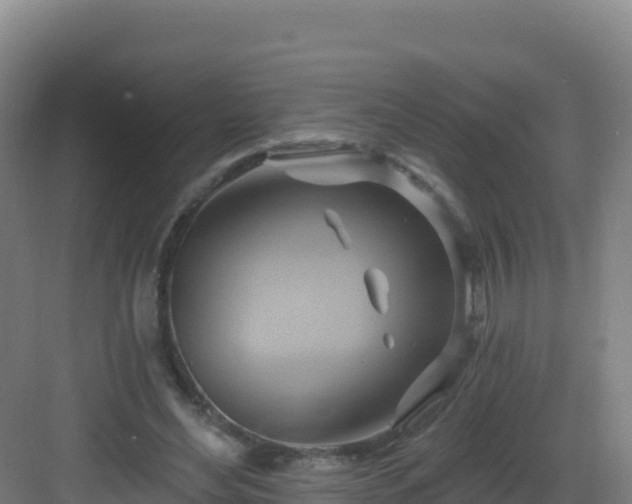 X0000083040492200702091413