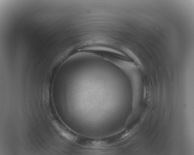 X0000083040493200702091413