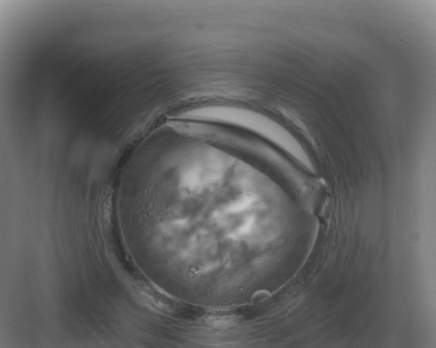 X0000083040495200702091413