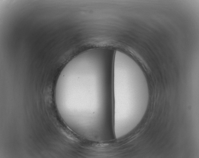 X0000083040497200702091412