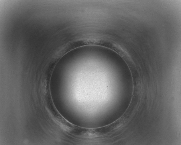 X0000083040498200702091412