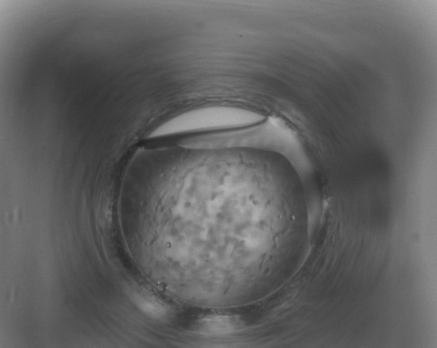 X0000083040499200702091412