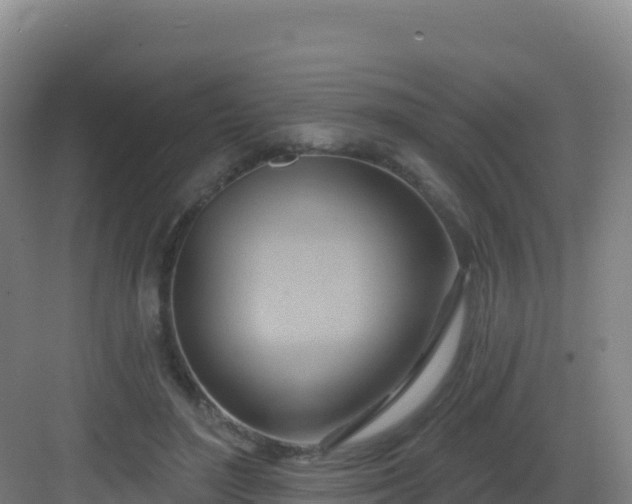 X0000083040500200702091412