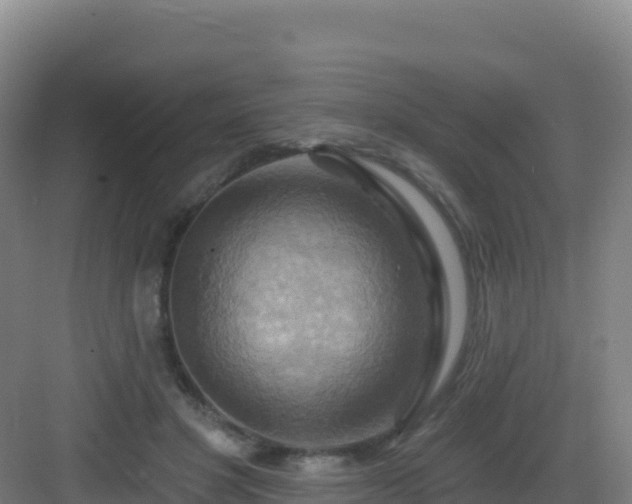 X0000083040501200702091412